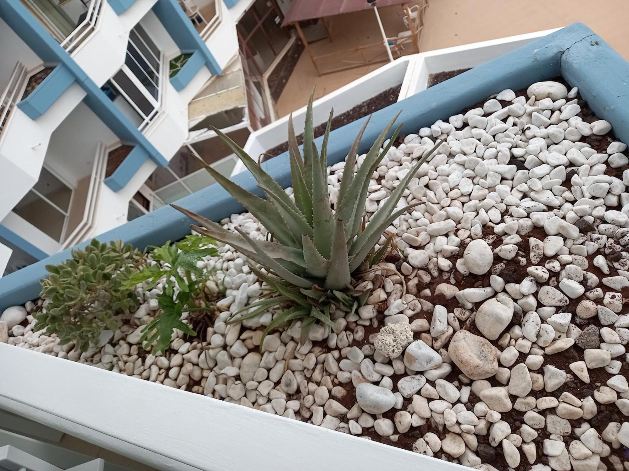Cousy Holiday Apartment In Sunny Golf Del Sur San Miguel de Abona Eksteriør bilde